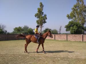 Singhpura International School  Picnic